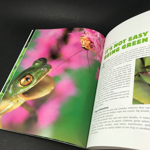 Frogs: A Chorus of Colors; Beautiful Photos & Illustrations; Excellent! 160 pgs - Picture 1 of 9